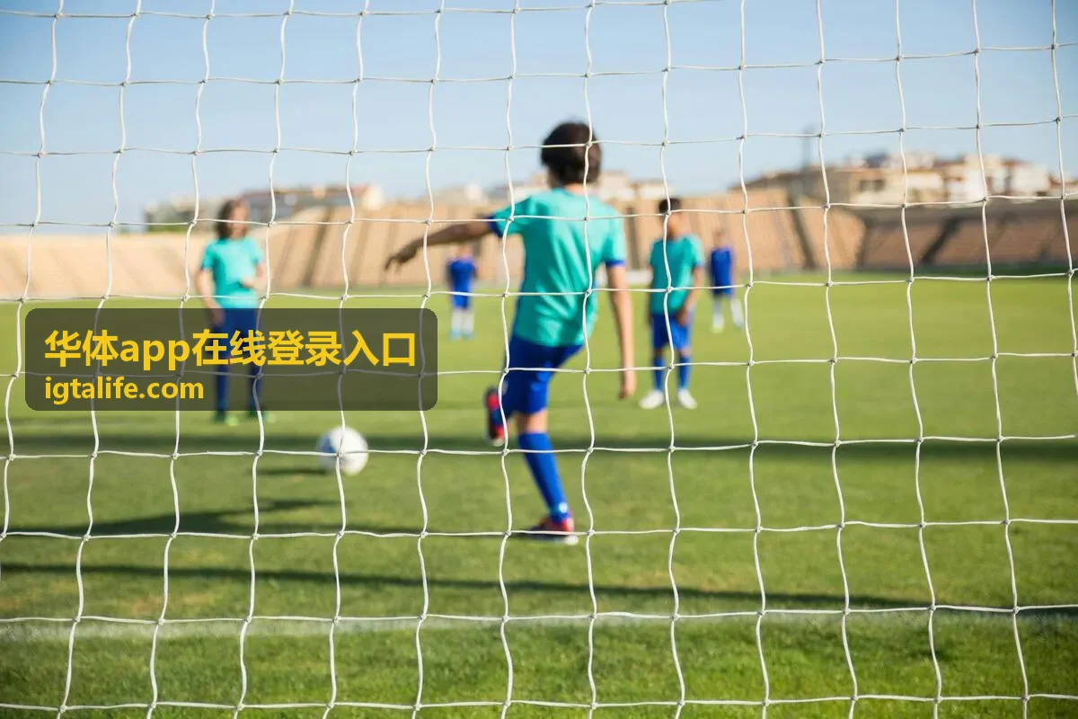 华体app在线登录入口安全防护场景配图