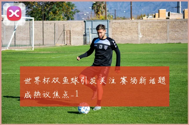 世界杯双鱼球引发关注 赛场新话题成热议焦点_1